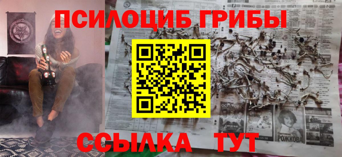 Галлюциногенные грибы GOLDEN TEACHER Тимашёвск